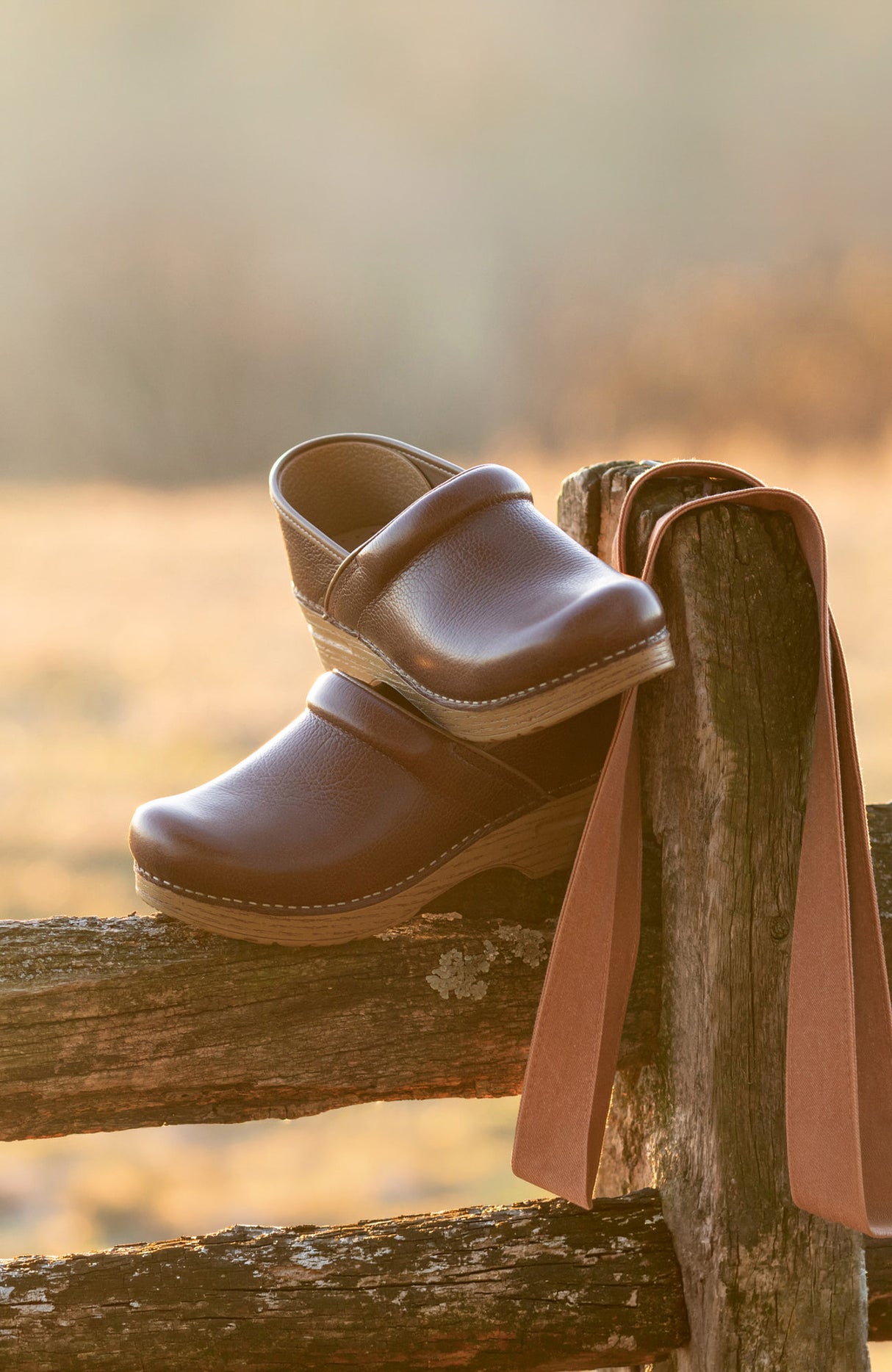 Dansko Professional Clog