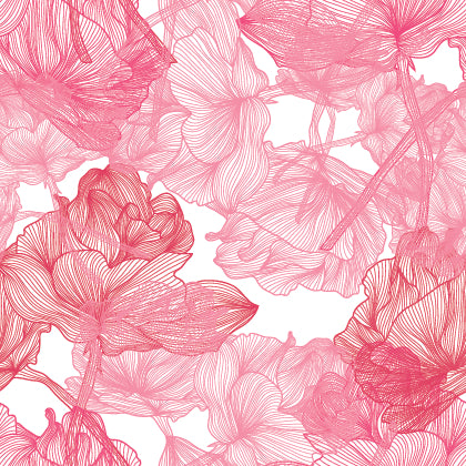 Cutieful Rosey Print Sheer Knee High Compression Socks 8-15 mmHg