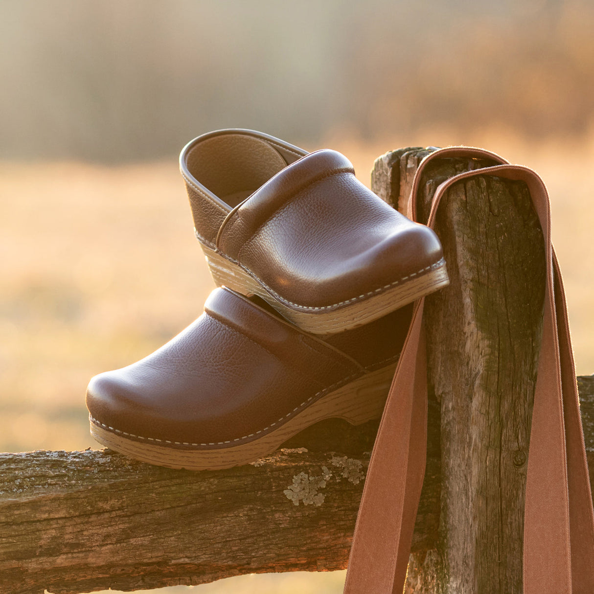 Dansko Professional Clog