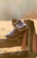 Dansko Professional Clog